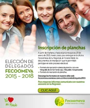 p_FECO_ELECCION4_ENE2015