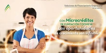 Encabezado Micro Formulario