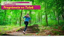 tulua