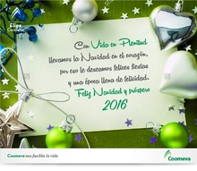 p_VEP_NAVIDAD_DIC2015