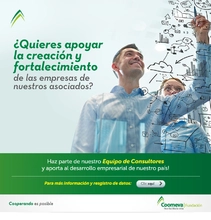 campaña-consultores02