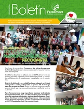 BOLETIN_NANOFRANQUICIAS