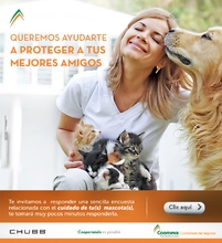 Email_encuesta_mascotas