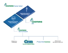 ESTRUCTURA SECTOR SALUD-01