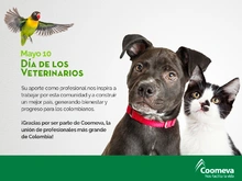 tar_Veterinarios