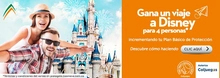 Banner Disney