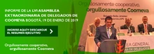 b_DIR_Asamblea_ENE2019