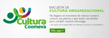 b_EncuestaCultura2