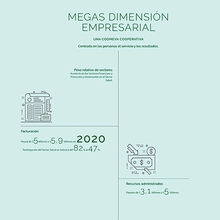 Megas dimension empresarial