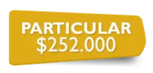 Particular $ 252.000