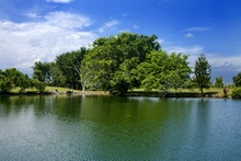 Paisajes de Lake House 