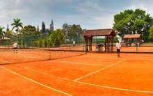 Tenis de Campo