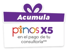 Consultoría Especializada