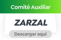 Comité Auxiliar Zarzal