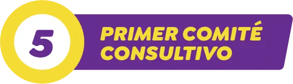 5. Primer Comité Consultivo