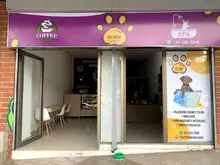 Pet Shop Castropol