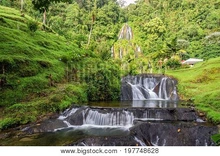 Agua y bosques