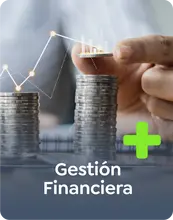 Gestión financiera