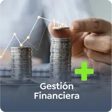 Gestión financiera 