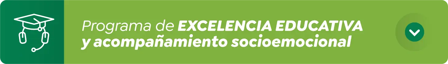 Programa de excelencia educativa y acompañamiento socioemocional