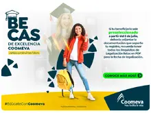 Auxilio Becas Excelencia