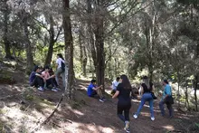 Jornada de siembra de árboles