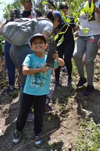 Jornada de siembra de árboles