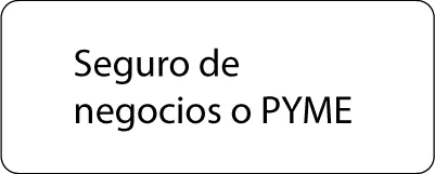 Seguro de negocios o PYME Aprovechar