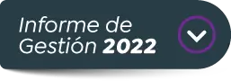 Informe de Gestión 2022