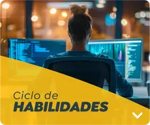 CICLO HABILIDADES