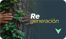 Regeneración