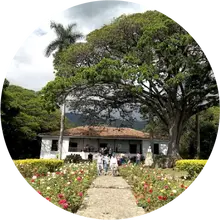 Valle del Cauca