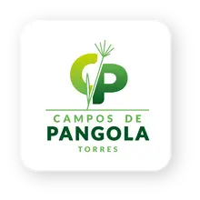 Campos de Pangola