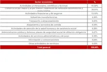 Por sector económico 