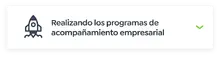 Realizando los programas de  acompa&ntilde;amiento epresarial y/o adquiriendo programas sin costo o servicios de consultor&iacute;a empresarial