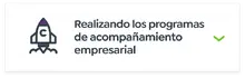 Realizando los programas  de acompa&ntilde;amiento  empresarial 