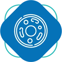 Estudios anatomopatológicos