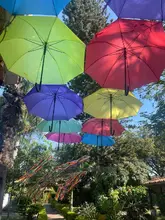 Campamento formativo Regional Cali y Palmira