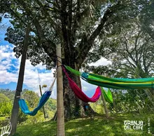 Campamento formativo Regional Medellín