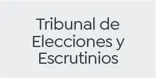 Tribunal de Elecciones y Escrutinios