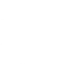 Llena tu mercado de color y vida