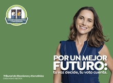 CON. COMISIONES ELE.2