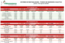 Fondo de Inversi&oacute;n Colectiva 