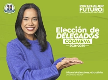 Habilidad elecciones