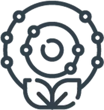 Es rico en antioxidantes