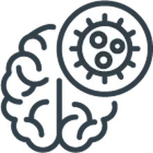 Reduce el riesgo de algunas enfermedades neurodegenerativas