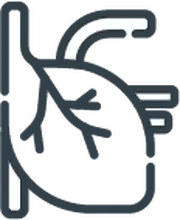 Protecci&oacute;n cardiovascular moderada