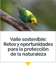 Valle sostenible: Retos y oportunidades para la protección de la naturaleza