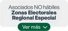 Asociados NO h&aacute;biles Zonas ElectoralesRegional Especial