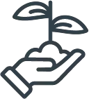 Únete a la siembra de árboles. Tú lo puedes hacer a través de  Bosque Coomeva.